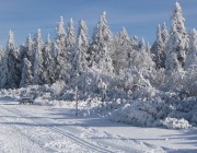 Les pistes de ski de fond sont tracées au Champ du Feu