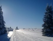 Participez au financement des pistes Nordiques du Champ du Feu