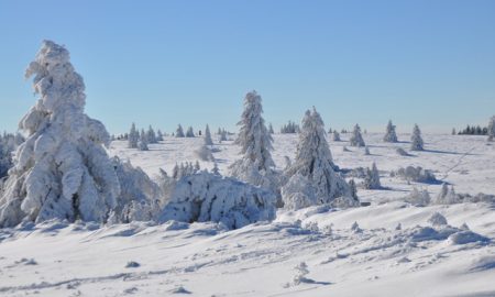 Ouverture des pistes de ski alpin au Champ du Feu samedi 2 Décembre