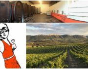 Opération vente de vins natures « La Petite Baigneuse » Opération vente de vins natures « La Petite Baigneuse »