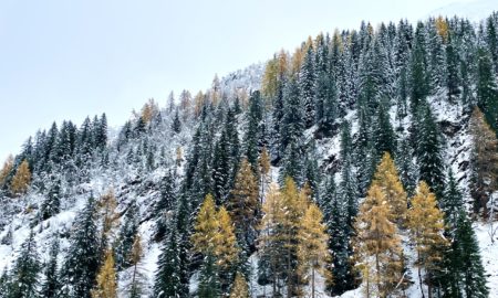Erratum : Stage ski à Zinal du 30 novembre au 3 décembre 2021