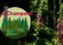 La ChampduF 2022, Flyer et site internet